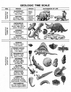 Geologic Column